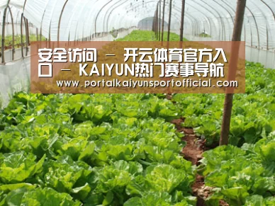种植基地五
