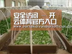 环境展示五