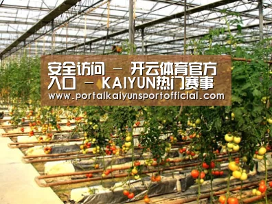 种植基地二