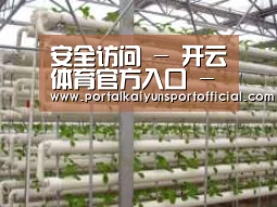 环境展示六
