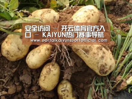 种植基地六