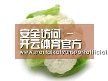 产品名称九