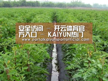 种植基地三