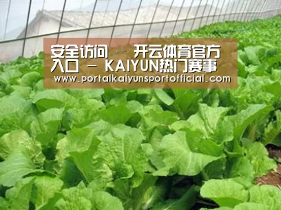 种植基地一