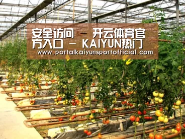 种植基地二(图1)