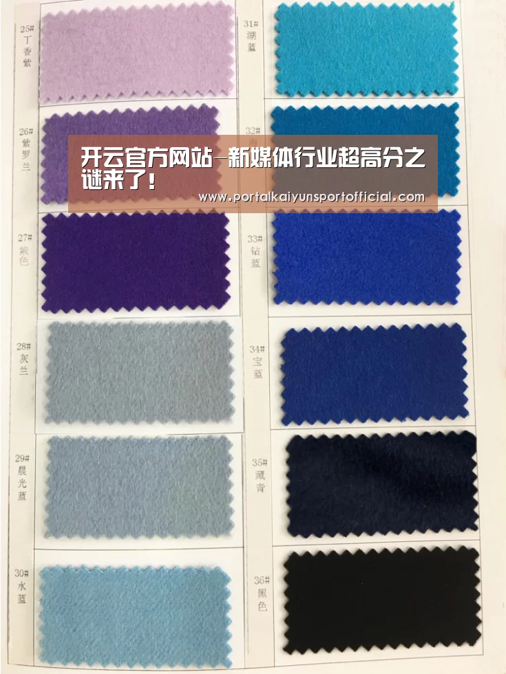 开云官方网站-新媒体行业超高分之谜来了!(图3) KAIYUN体育