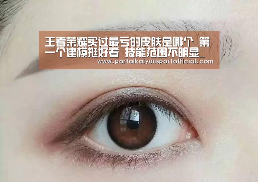 王者荣耀买过最亏的皮肤是哪个 第一个建模挺好看 技能范围不明显_开云体育官网(图3) 开云官方网站