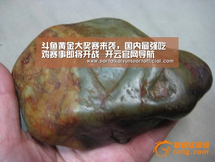 斗鱼黄金大奖赛来袭,国内最强吃鸡赛事即将开战-开云官网导航(图1) 开云官方网站