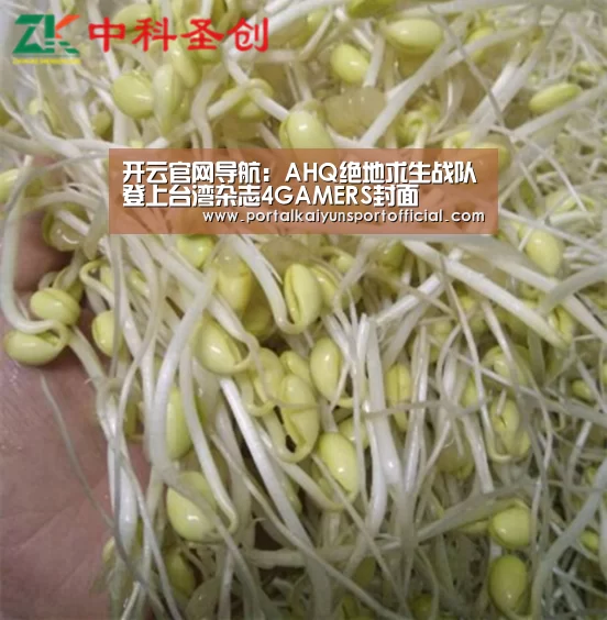 开云官网导航:AHQ绝地求生战队登上台湾杂志4GAMERS封面(图4) 开云体育官网