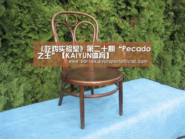 《吃鸡实验室》第二十期“Pecado之王”【KAIYUN体育】(图2) 开云体育官网